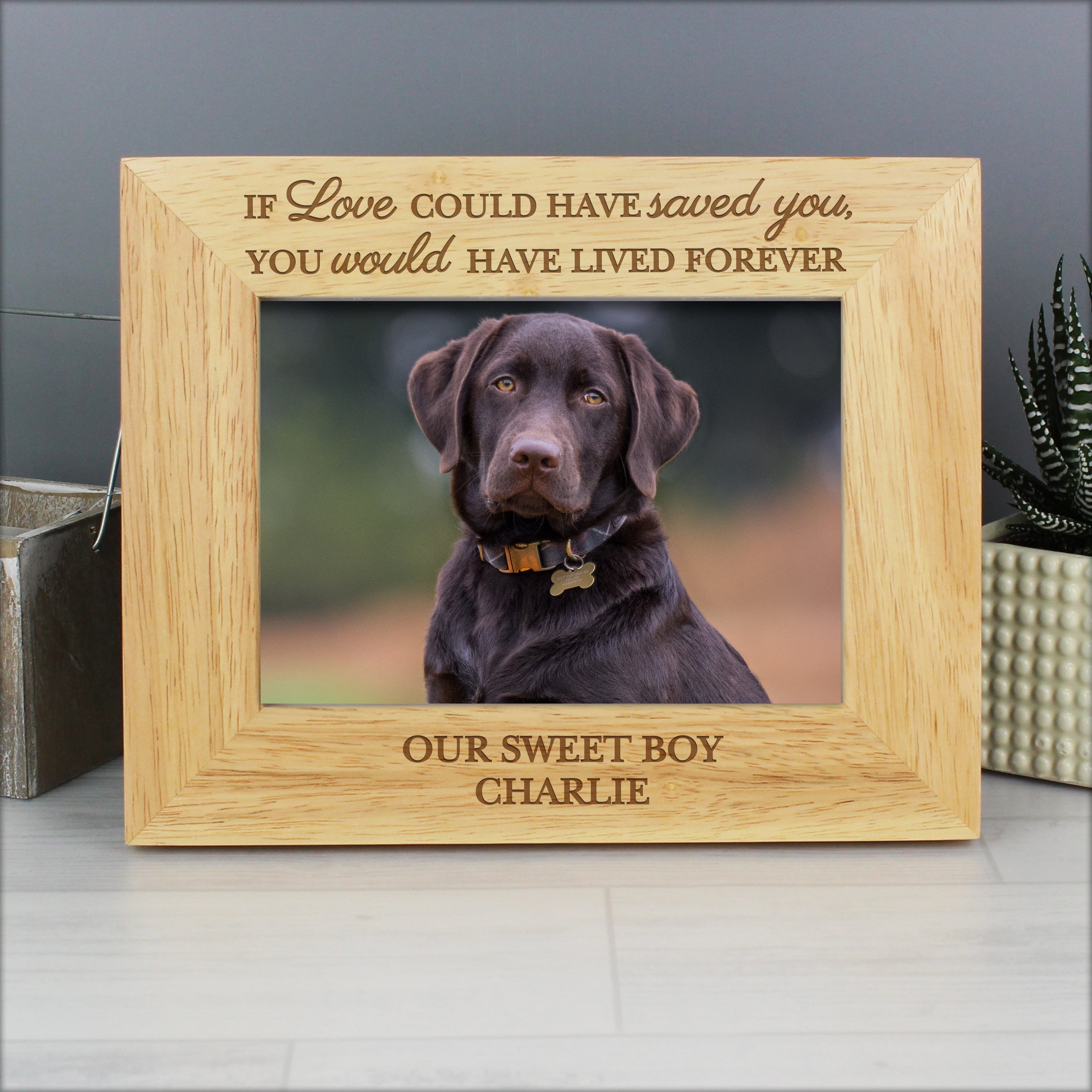 Personalised Pet Memorial 5x7 Photo Frame